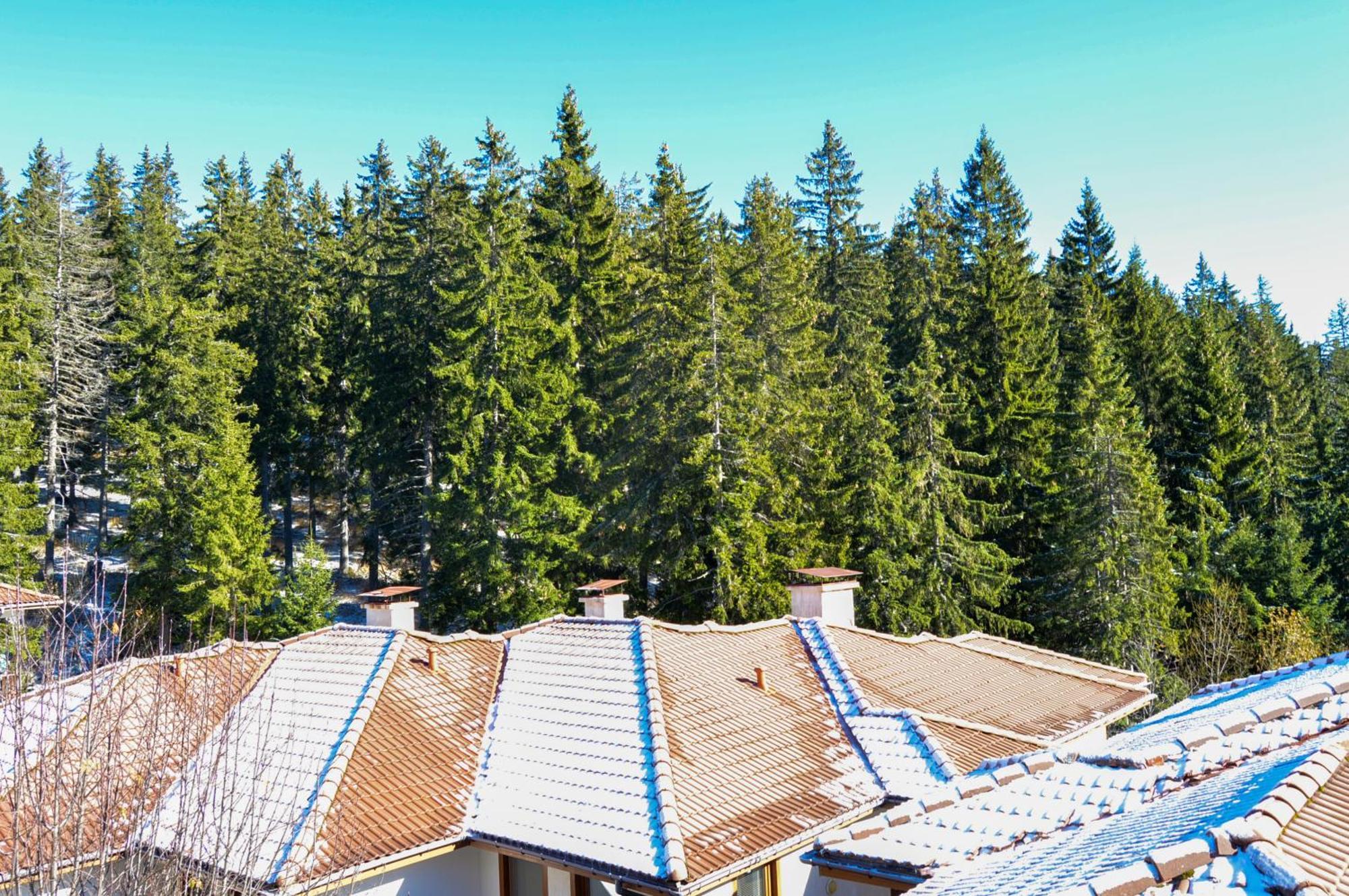 Myplace Pamporovo Апартаменти За Отдих Exterior foto